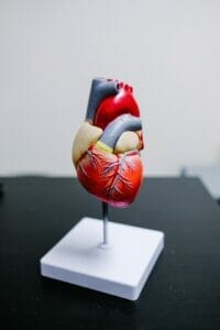 Does our Mental Health Affect Our Heart? Does our Mental Health Affect Our Heart?
