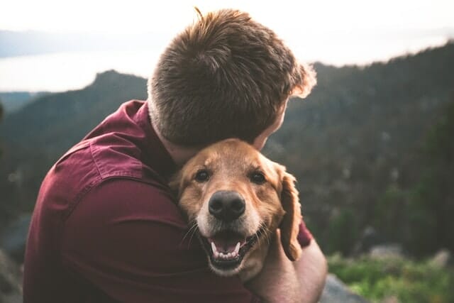 Pawsitive Impact: How Owning a Pet Improves Brain Health